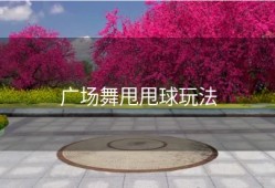 广场舞甩甩球玩法