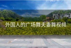 外国人的广场舞夫妻舞视频