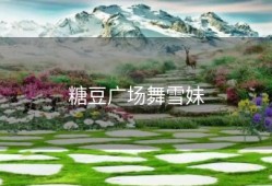 糖豆广场舞雪妹