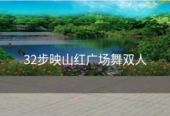 32步映山红广场舞双人