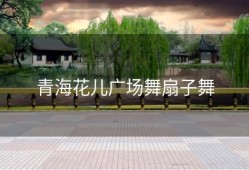 青海花儿广场舞扇子舞