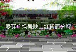 麦芽广场舞映山红背面分解