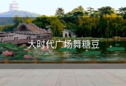 大时代广场舞糖豆
