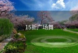 15新广场舞