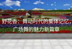 野花香：舞动时代的集体记忆，广场舞的魅力新篇章