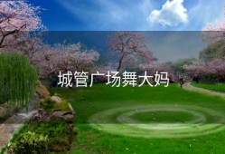 城管广场舞大妈