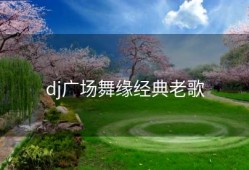 dj广场舞缘经典老歌