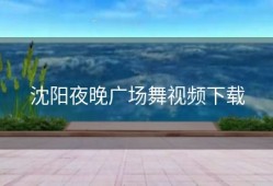 沈阳夜晚广场舞视频下载