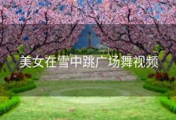 美女在雪中跳广场舞视频