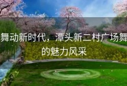舞动新时代，潭头新二村广场舞的魅力风采