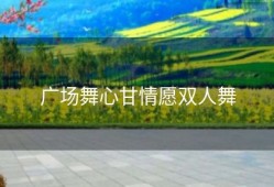 广场舞心甘情愿双人舞