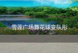 雪莲广场舞花球变队形