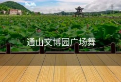 通山文博园广场舞