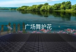 广场舞护花