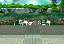 广场舞忘情森巴舞