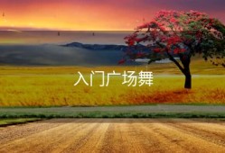 入门广场舞
