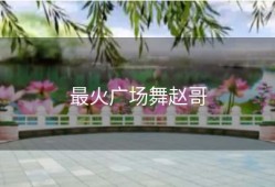 最火广场舞赵哥