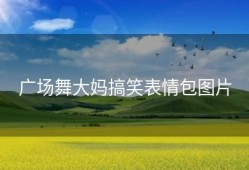 广场舞大妈搞笑表情包图片
