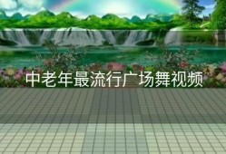 中老年最流行广场舞视频