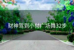 财神驾到小付广场舞32步