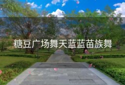 糖豆广场舞天蓝蓝苗族舞