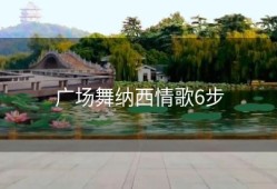 广场舞纳西情歌6步