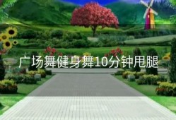 广场舞健身舞10分钟甩腿