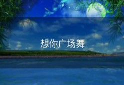 想你广场舞