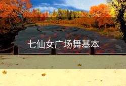 七仙女广场舞基本