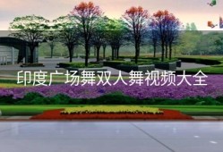 印度广场舞双人舞视频大全
