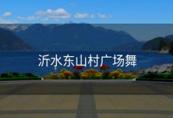 沂水东山村广场舞