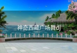 神奇西藏广场舞dj