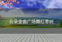 云朵金曲广场舞红枣树