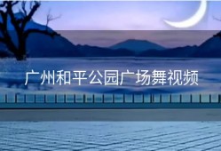 广州和平公园广场舞视频