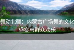 舞动北疆：内蒙古广场舞的文化盛宴与群众欢乐