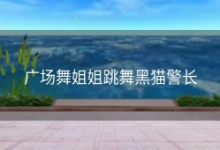 广场舞姐姐跳舞黑猫警长