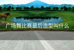 广场舞比赛最后造型叫什么