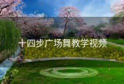 十四步广场舞教学视频