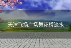 天津飞扬广场舞花桥流水