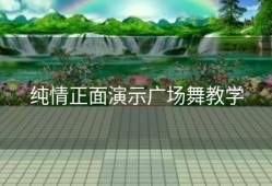 纯情正面演示广场舞教学