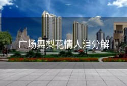 广场舞梨花情人泪分解