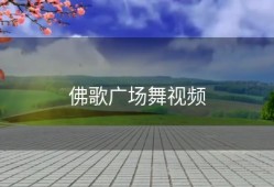 佛歌广场舞视频