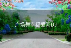 广场舞幸福爱河DJ