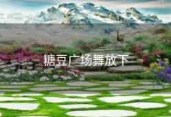 糖豆广场舞放下