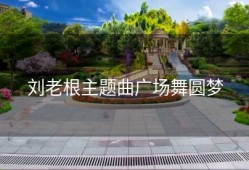 刘老根主题曲广场舞圆梦