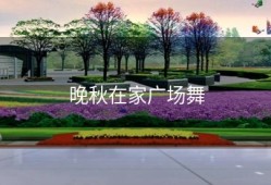晚秋在家广场舞