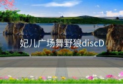 妃儿广场舞野狼discD