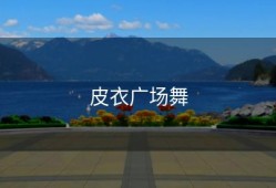 皮衣广场舞