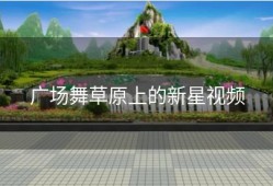 广场舞草原上的新星视频