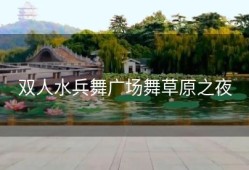 双人水兵舞广场舞草原之夜